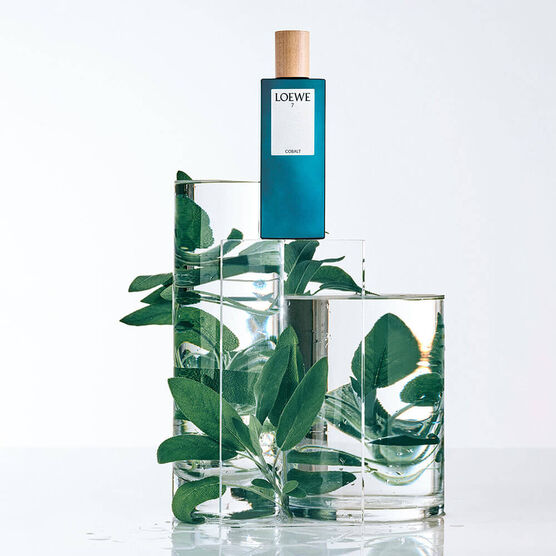 LOEWE      7 LOEWE       EDP  100ML